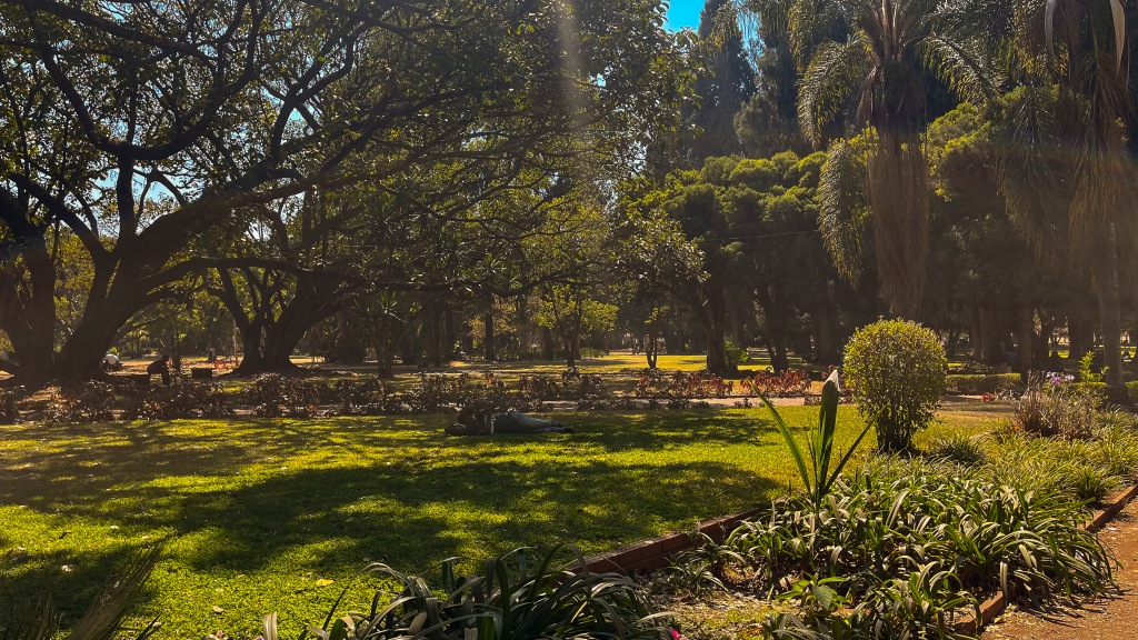 Capital do Zimbábue, Harare tem poucas atrações turísticas, mas áreas verdes agradáveis