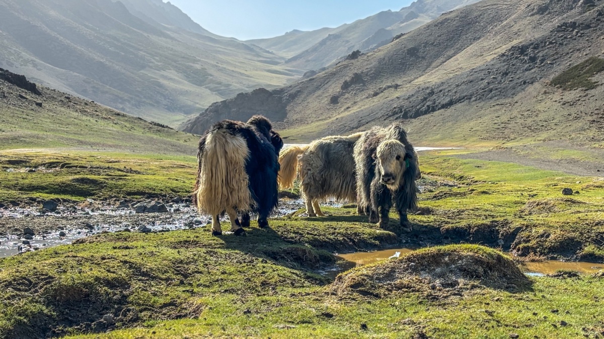 Mongólia possui interior com paisagens intocadas e capital moderna