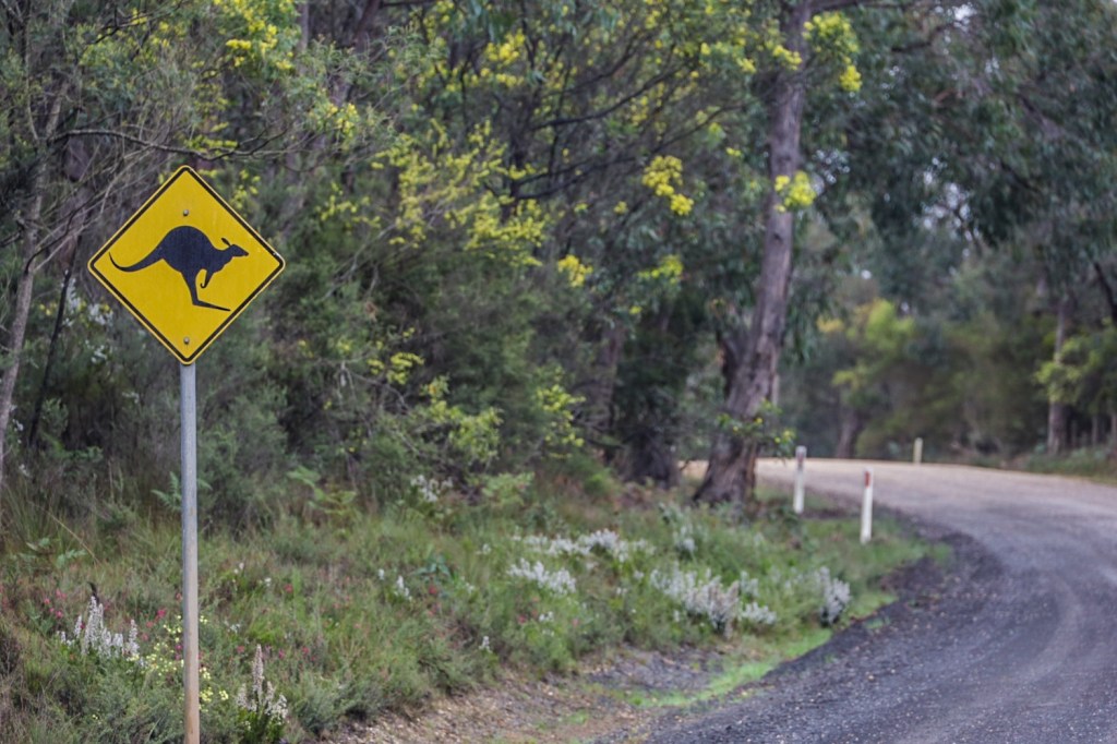 Visto da Austrália deve ser obtido on-line, mas processo é&nbsp;burocrático