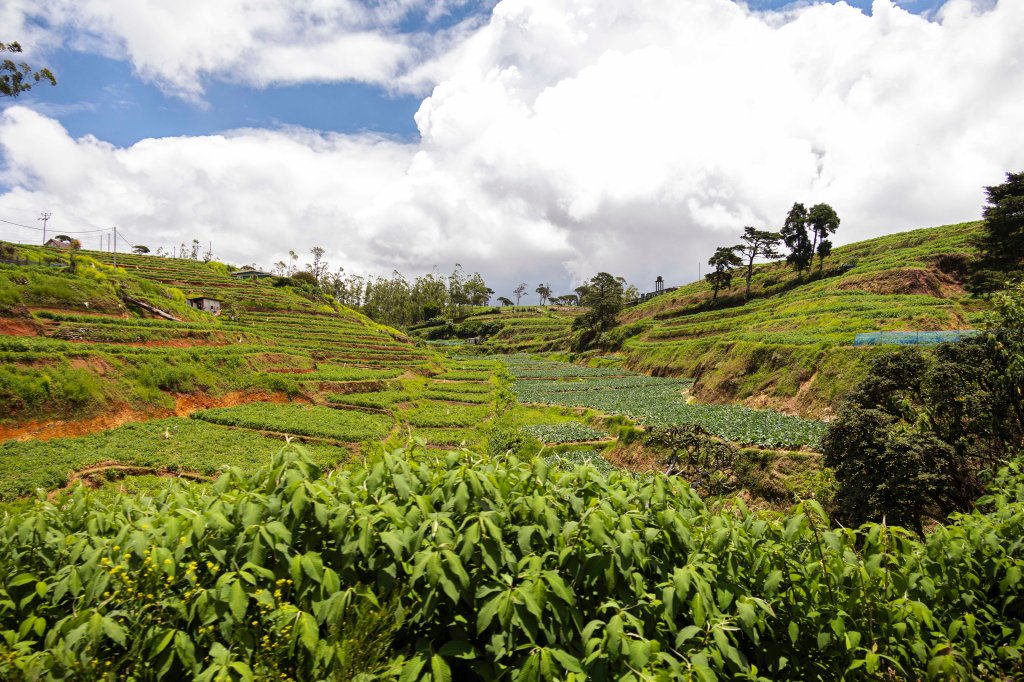 Sri Lanka exige visto de brasileiro, mas facilita processo&nbsp;on-line