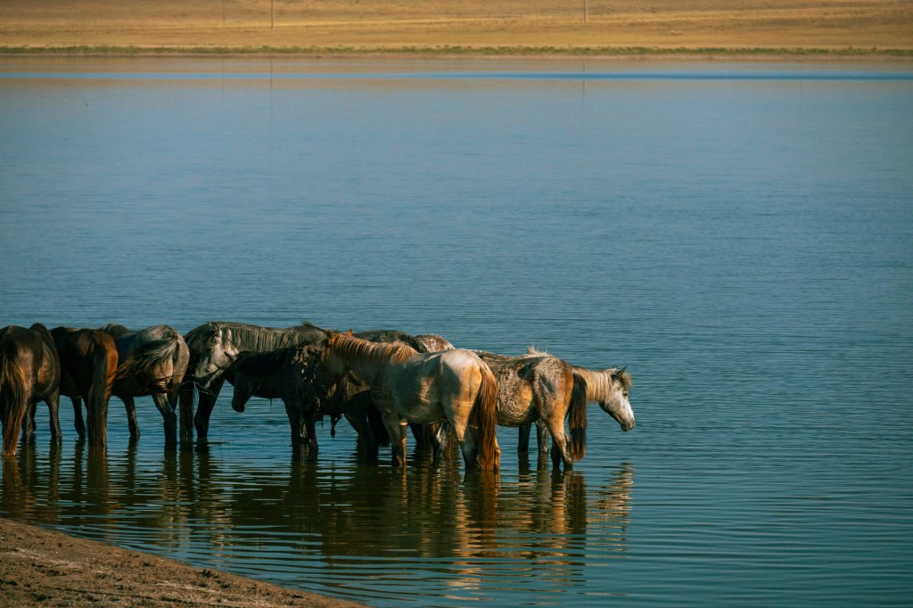 No Cazaquistão, nos encantamos com Almaty e viajamos de carro na região de&nbsp;Astana