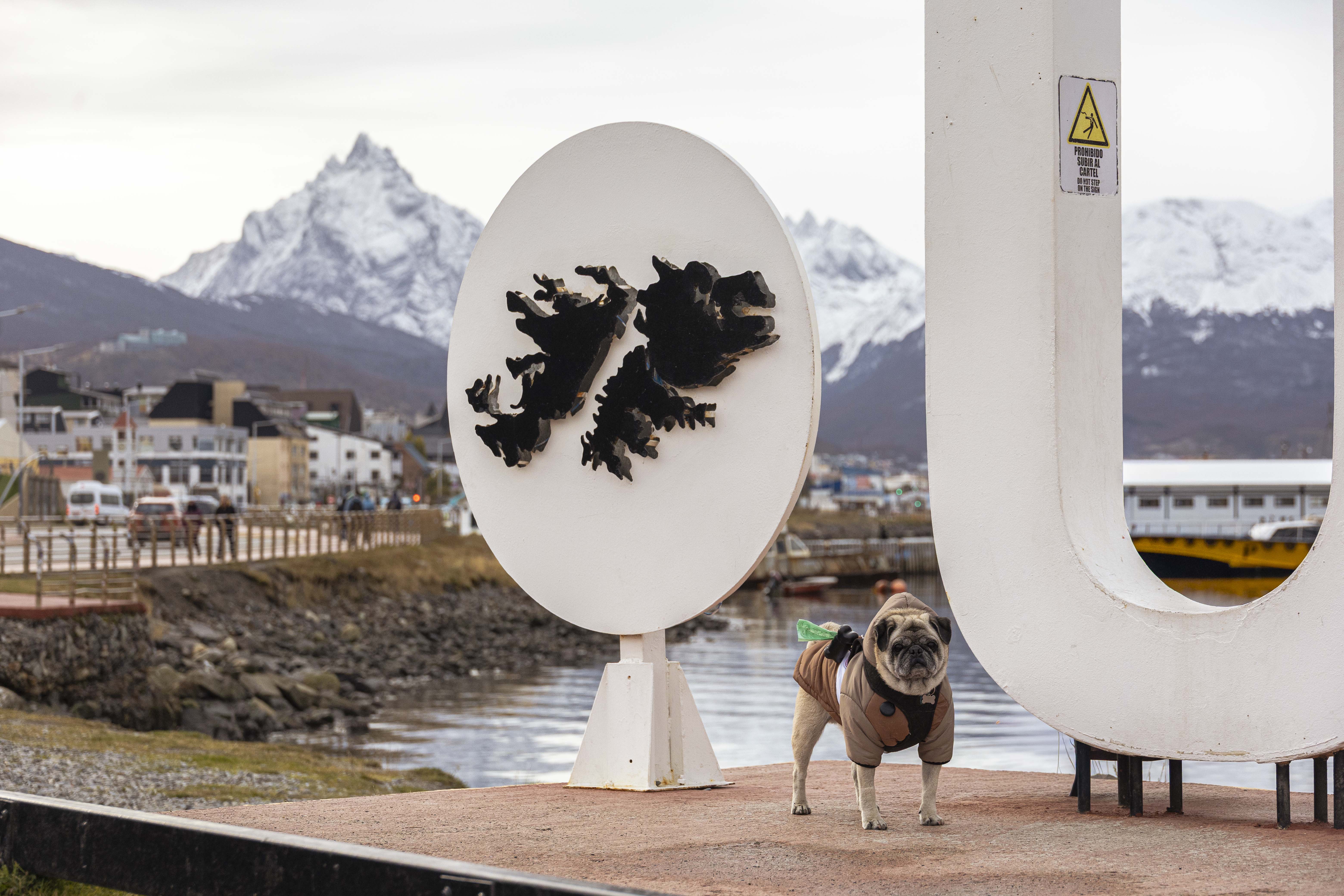 Como chegar ao fim do mundo, o Ushuaia, com seu cachorro