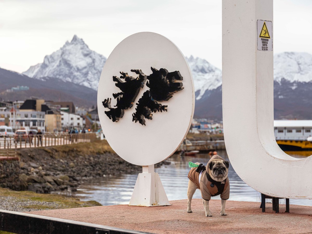 Como chegar ao fim do mundo, o Ushuaia, com seu&nbsp;cachorro