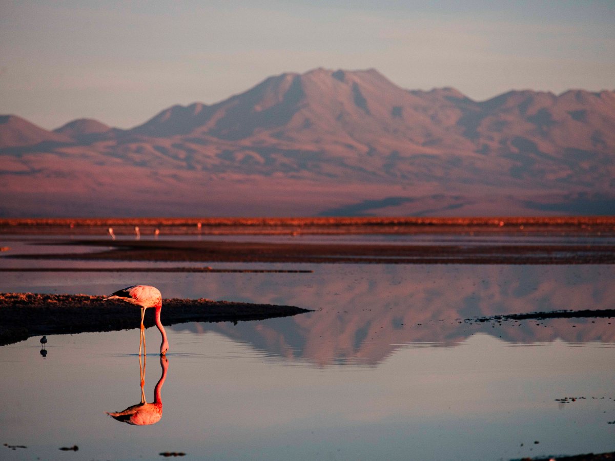De Santiago ao Deserto do Atacama, vimos o Pacífico, vinícolas, cidade-fantasma e muitas&nbsp;montanhas