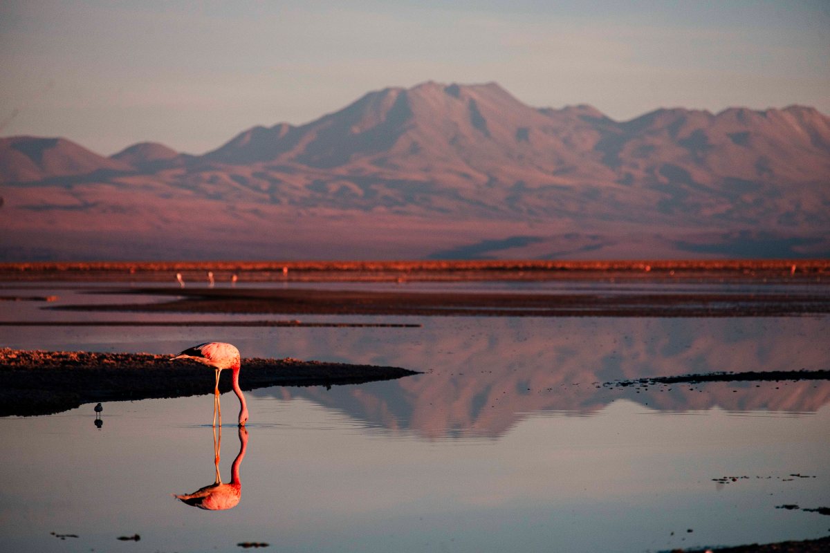 De Santiago ao Deserto do Atacama, vimos o Pacífico, vinícolas, cidade-fantasma e muitas&nbsp;montanhas