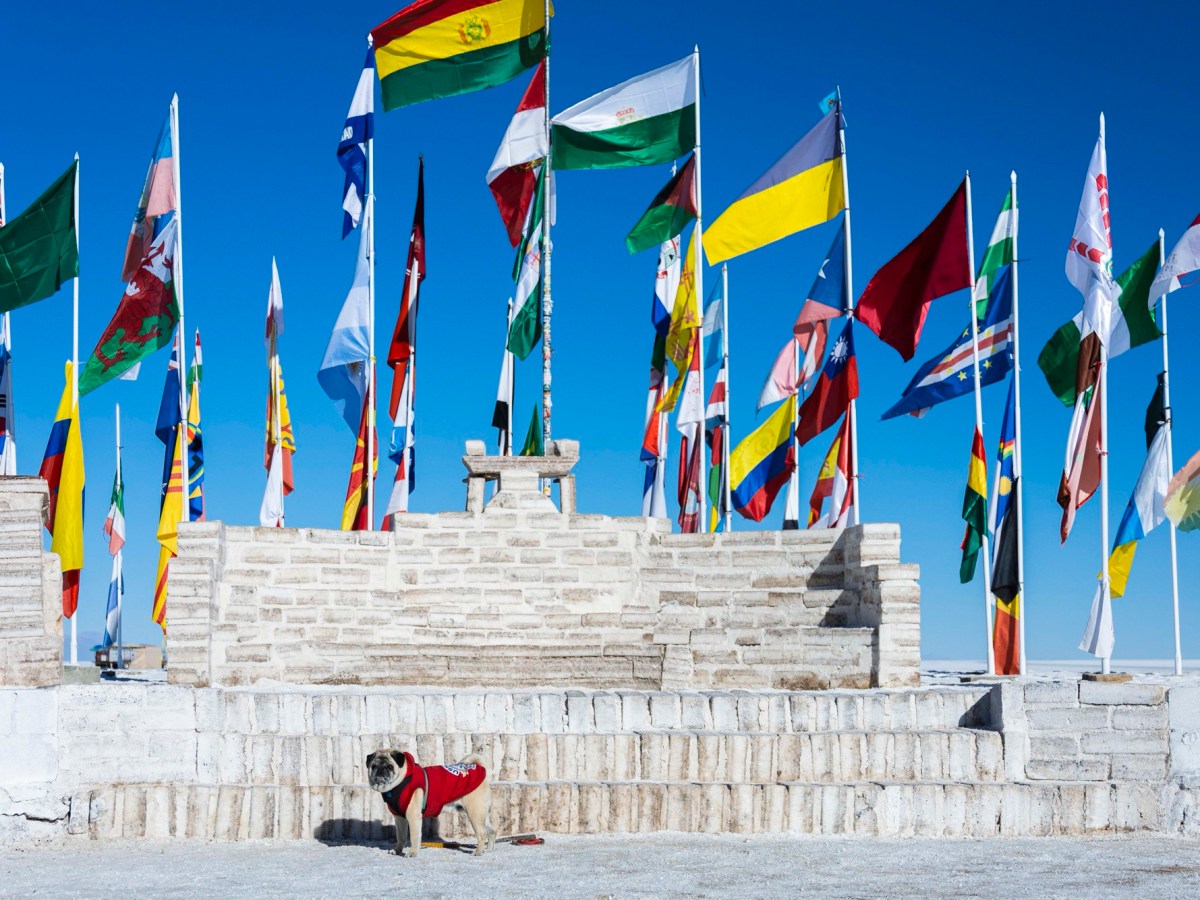 Como levar seu cachorro na viagem para&nbsp;Bolívia
